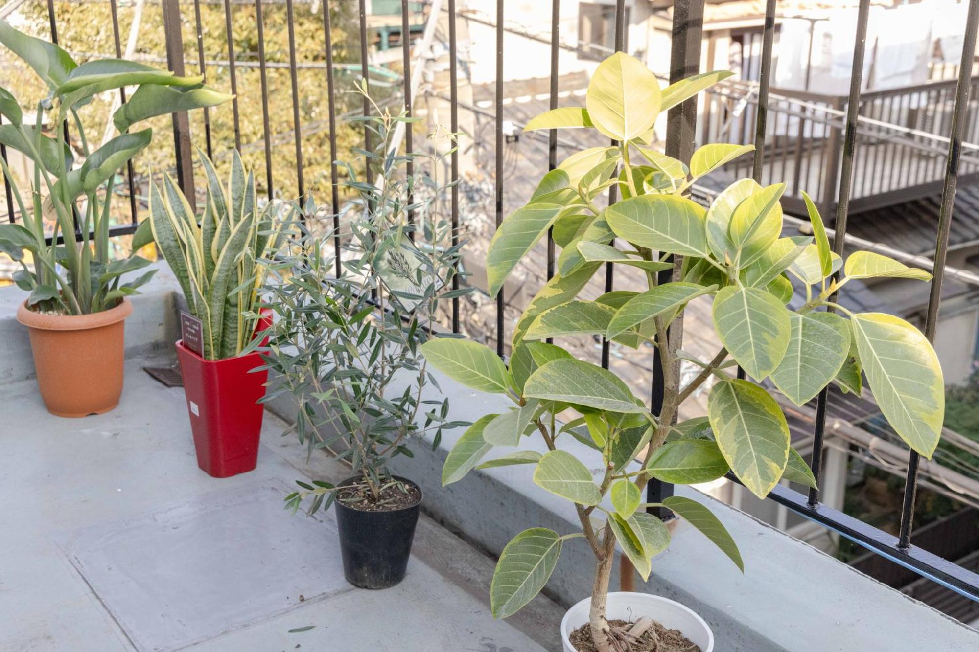 Buran House Apartman Tokió Kültér fotó